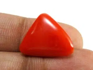 Red Coral - 11.94 Carat - GFE04022 - Image 3