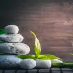 Feng shui bamboo | बांस का पौधा फेंगशुई कला