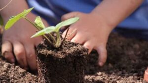 Garden vastu tips | गार्डन वास्तु