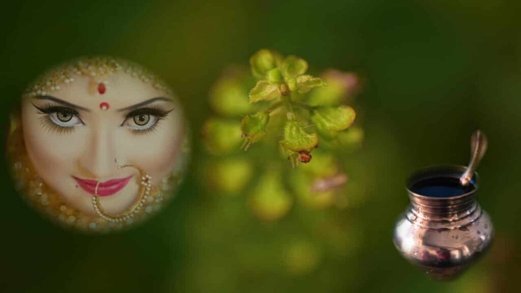 Tulsi Vivah | तुलसी एवं शालिग्राम विवाह