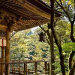 Wood elements in feng shui | लकड़ी तत्व