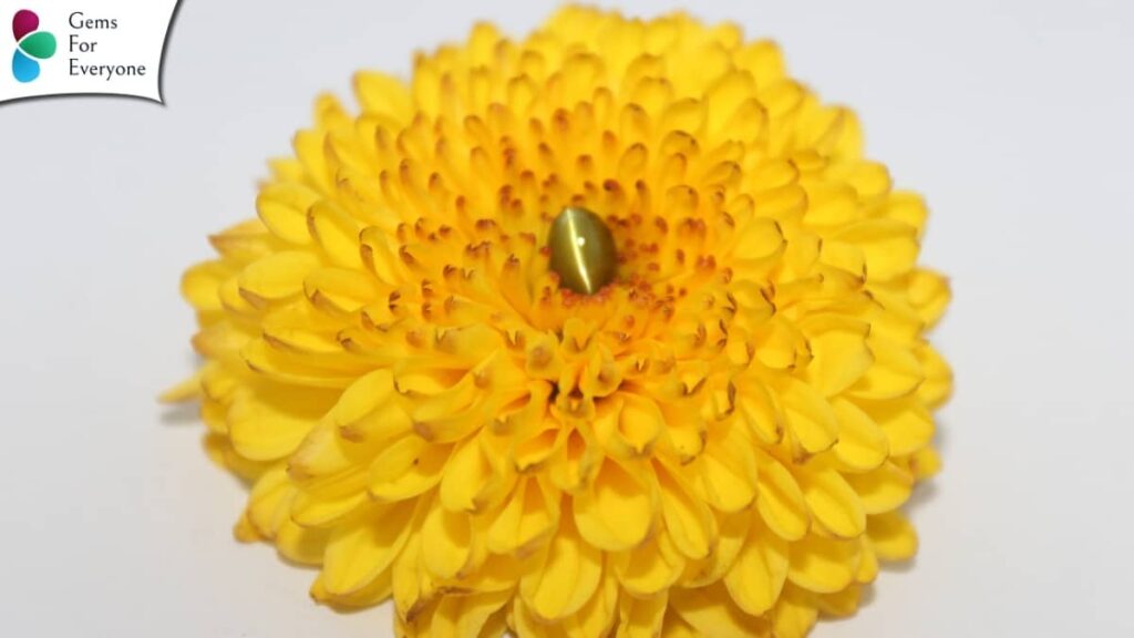 लहसुनिया रत्न