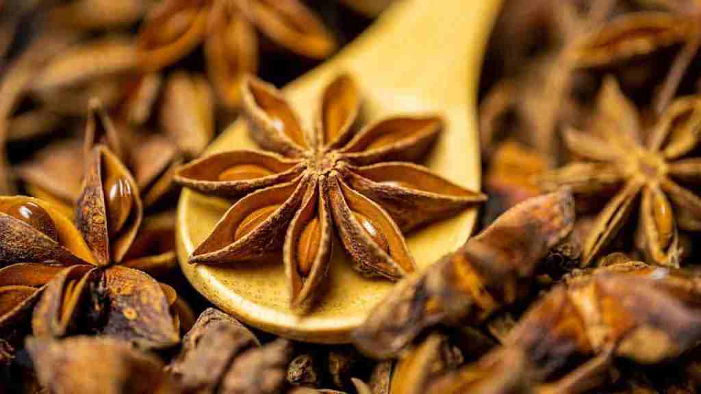 history-of-spices-and-herbs