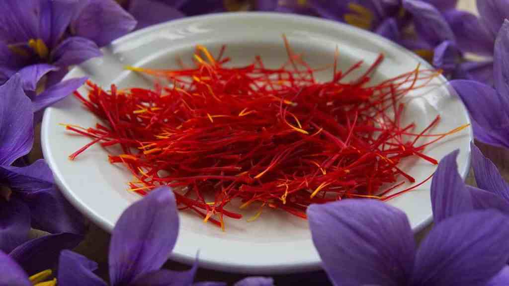 saffron-kesar