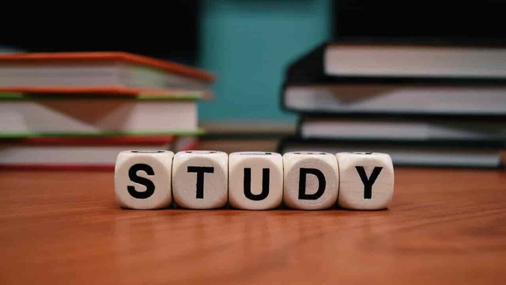 libra-2025-education