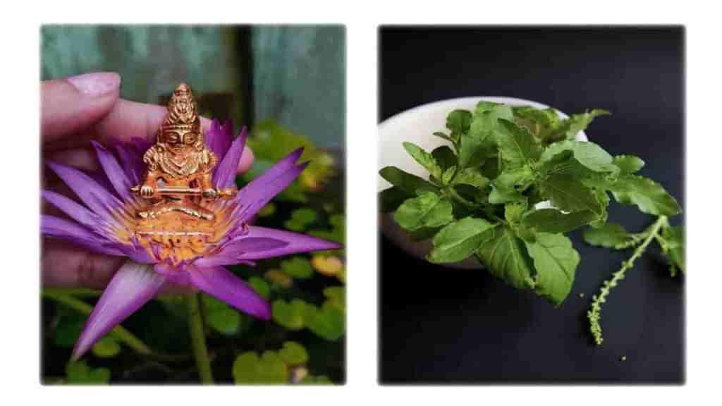 myths-about-tulsi-vivah