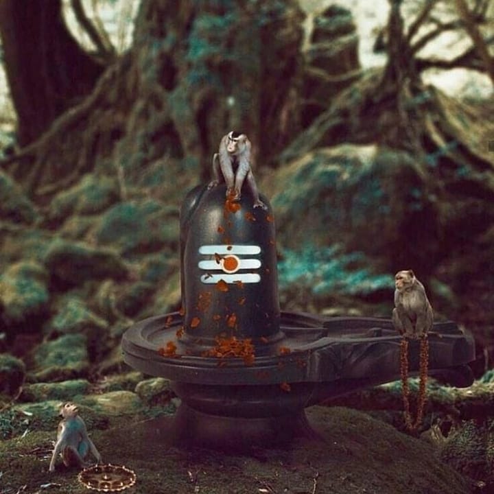 Mahakal Shambhu Status Image