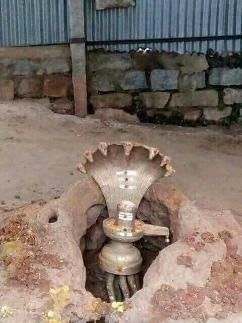 Shivling Naag Wallpaper