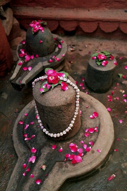 Puja of Shivling Image Pic