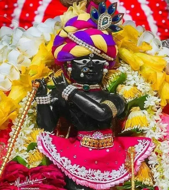 Shri Banke Bihari HD Mobile Wallpaper