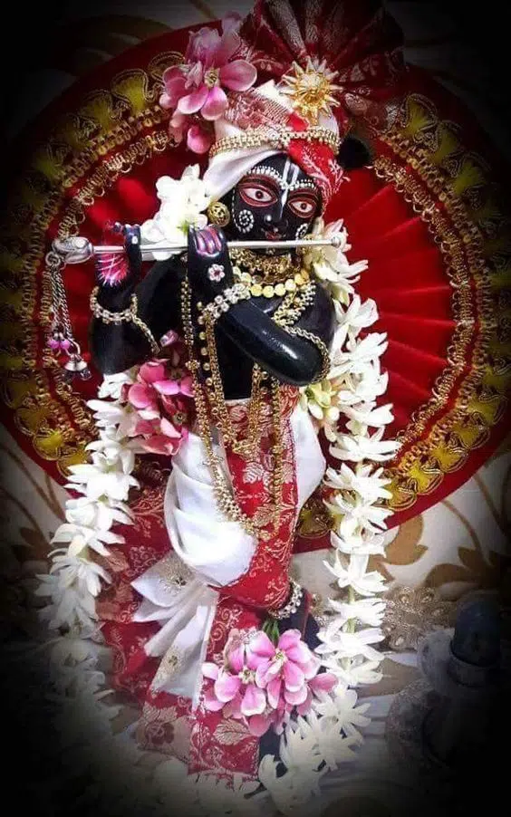 Shri Banke Bihari Images