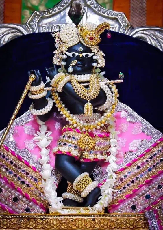 Shri Banke Bihari ji images vrindavan parikrama