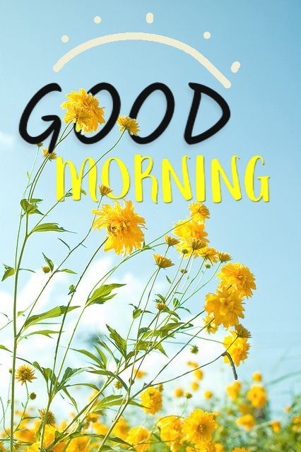 Good Morning Image Wishes HD