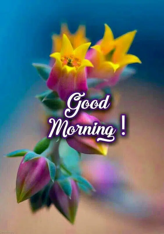 Nice Photo of Good Morning Wishes HD