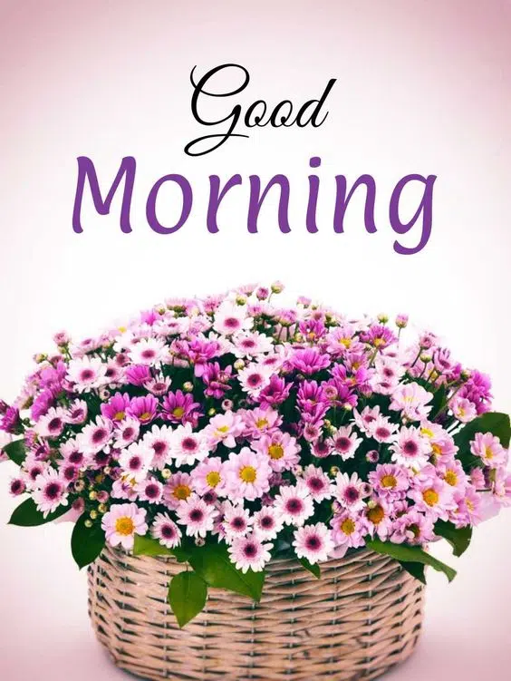 Happy Good Morning Wishes Image Download
