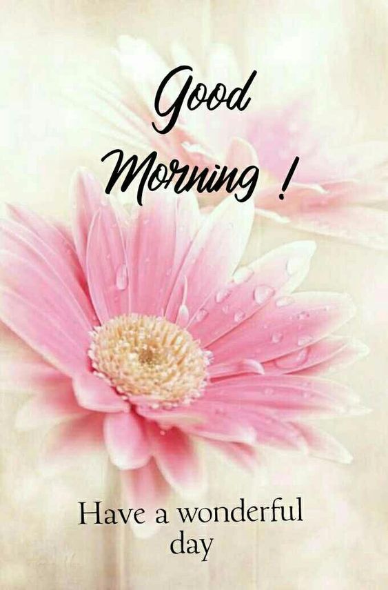 Good Morning Wonderful Image Status Download