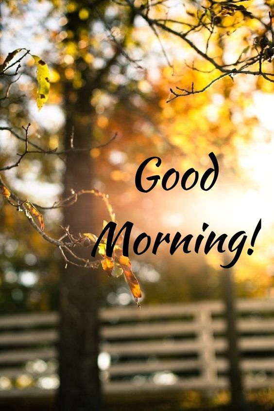 Good Morning Wishes Photo HD Status