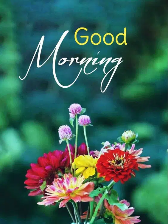 Good Morning Wishes Quotes with Image Download