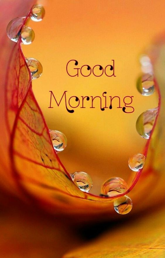 Good Morning Wallpaper New Download Best