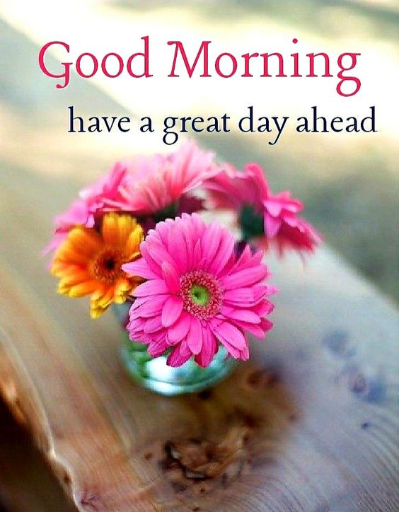 Good Morning Nice Image HD Download