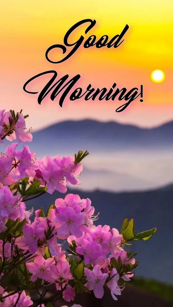 Good Morning Nature Pic Wishes Download