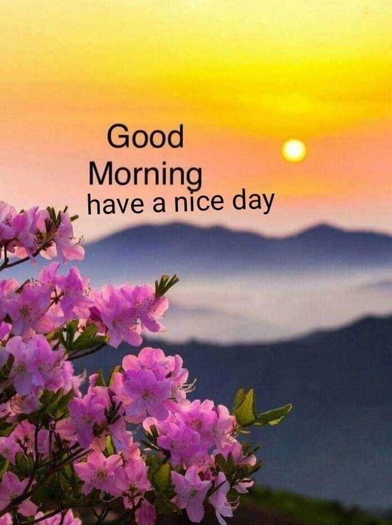 Good Morning Nature Image Have a Nice Day