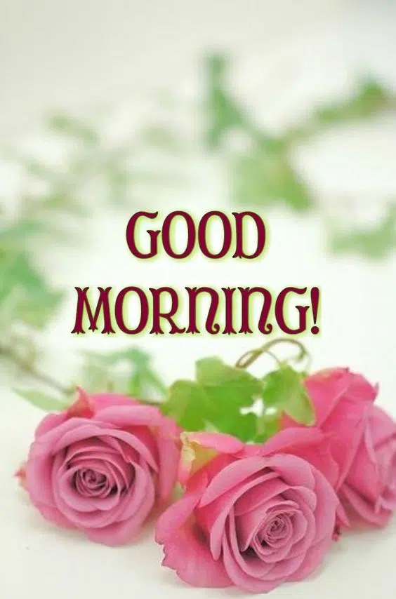 Good Morning HD Picture with Wishes Download