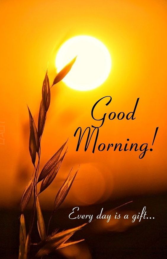 Good Morning HD Image Quotes Pic