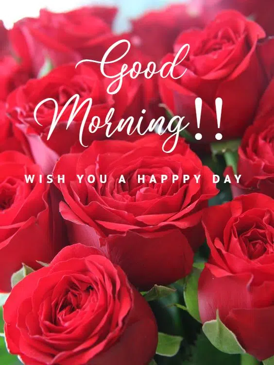 Good Morning Happy Wishes Picture Download for Friends