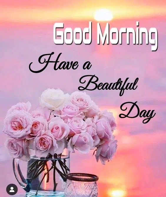 Good Morning Flowers Beautiful Wishes Download