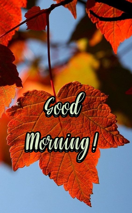 Good Morning DP Photo Download HD