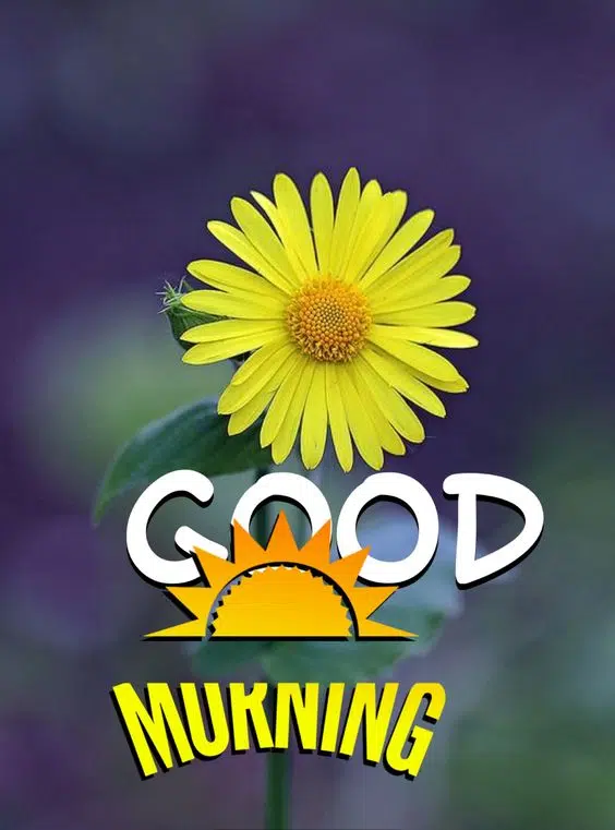 Good Morning Best Flower Image Download