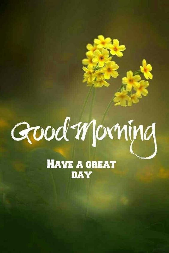 Good Morning Best Quotes Wallpaper HD Download