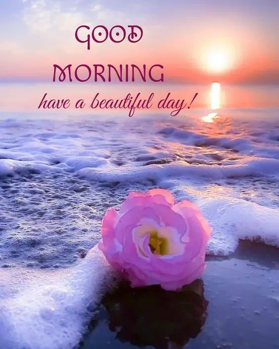 Good Morning Beautiful Image Quotes Pic Download