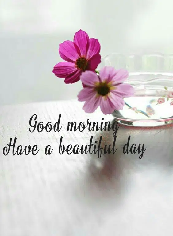Good Morning Beautiful Day HD Download Wallpaper