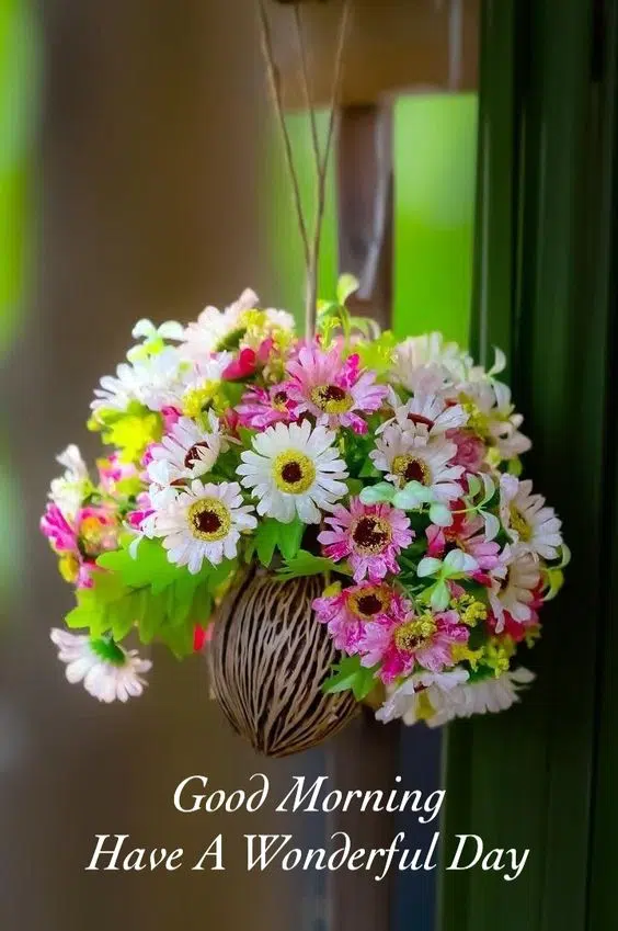Flowers Good Morning Image HD Download