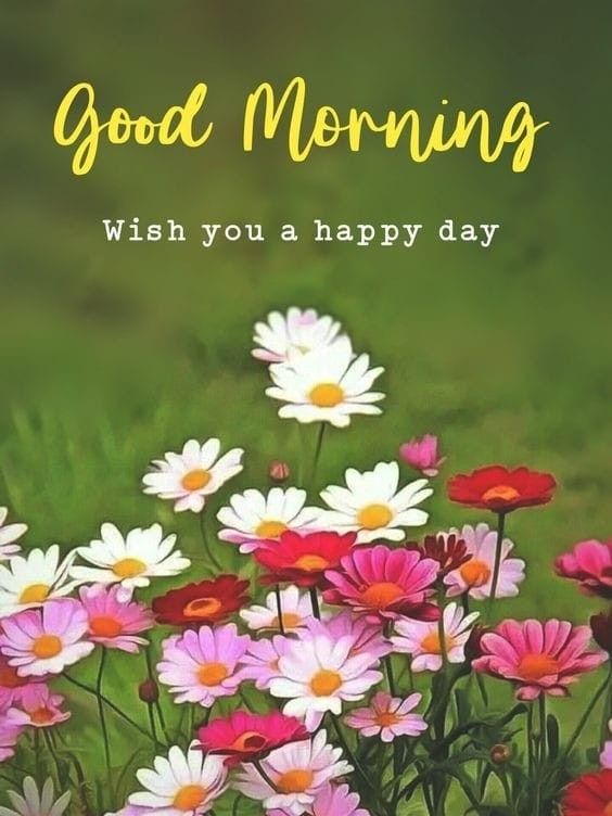 Flower Photo for Good Morning Status