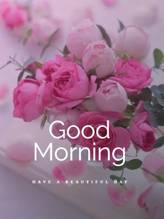 Download Good Morning Flower Wishes Pics