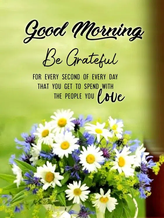 Download Good Morning Flower Image for Whatsapp