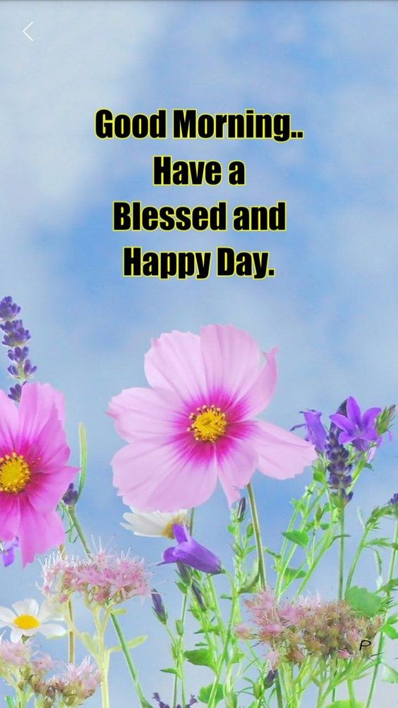 Best Morning Wallpaper with Good Morning Images