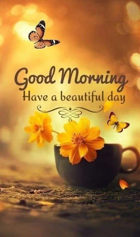 Beautiful Good Morning Day Wishes Pic Image Download Free