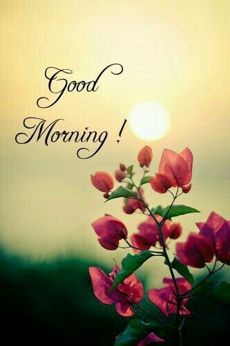 Beautiful Photo of Good Morning Quotes Hd