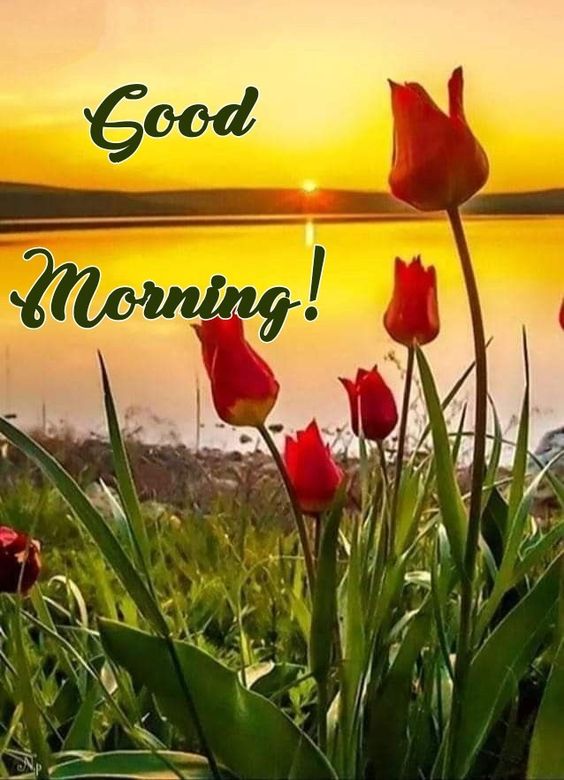 Top Good Morning Quotes for Whatsapp Group Image