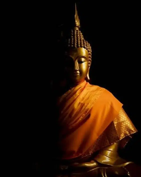 Gautam buddha, bhagwan buddha, Siddhartha buddha, religious teacher gautam buddha hd phone wallpaper