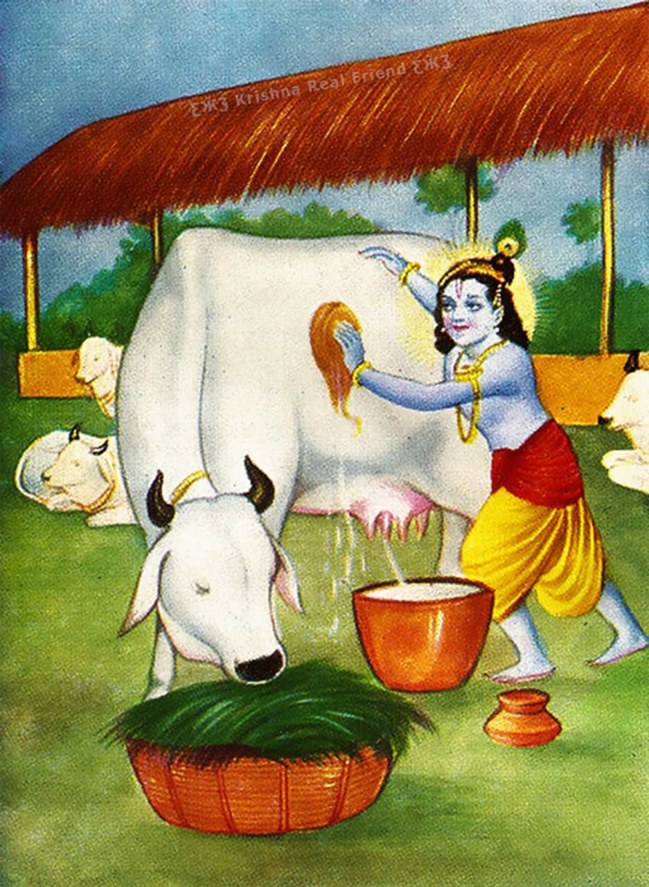 Little Krishna with Cow in Gokul