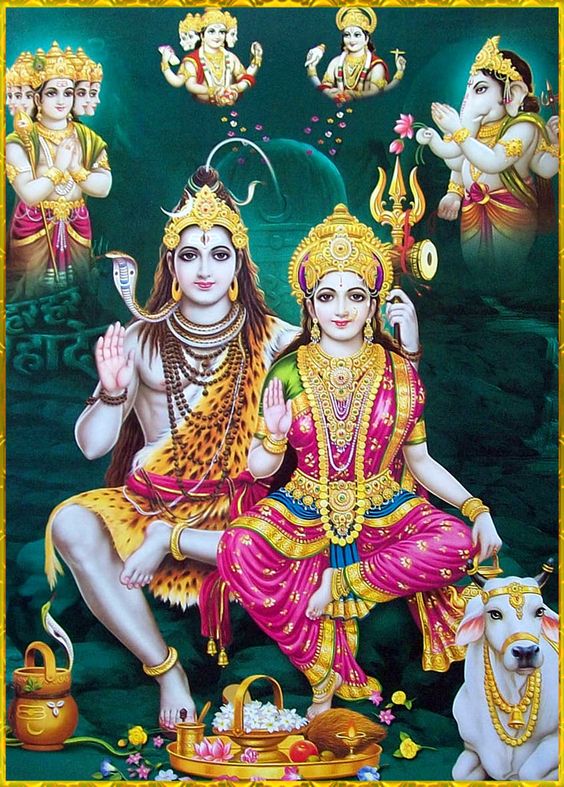 shiv gauri shankar hd mobile wallpaper