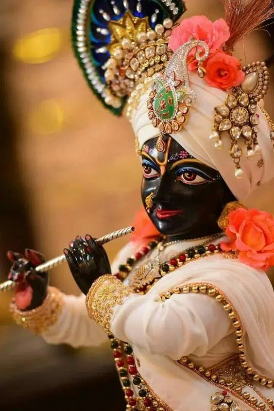 Laddu Gopal Shri Krishna Gopala Ji