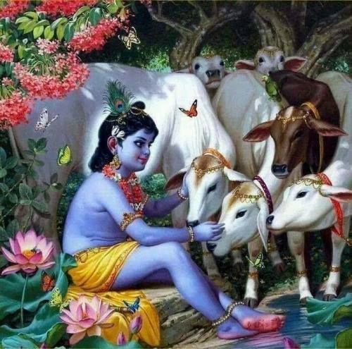 Bhagwan Krishna kanhaiya wallpaper photo