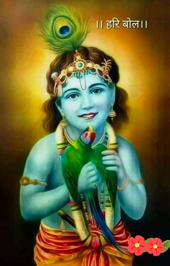 Images & Pictures of Krishna Kanhaiya